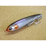 Maria・Rapido F160/カタクチ B10H