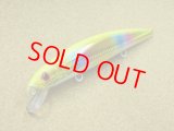 Mangrove Studio・STRIKE PRO Magnum Minnow 200 Seabass Edition/チャート-レインボー