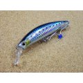 Jackson・Pin Tail EZ 45/SIW リアルイワシ