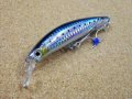 Jackson・Pin Tail EZ 45/SIW リアルイワシ
