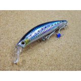 Jackson・Pin Tail EZ 45/SIW リアルイワシ