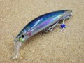 Jackson・Pin Tail EZ 45/CMI クリアミラーイワシ