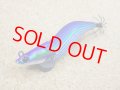 Fish League・EGILEE DARTMAX OT/05 パープルボーダーグリーン