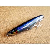 TACKLE HOUSE・CONTACT CANARY CCP145/09 セグロカタクチ