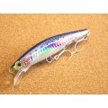 Jackson・Pin tail サワラ Tune 35g/SNI 新鮮イワシ 