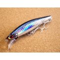 Jackson・Pin tail サワラ Tune 35g/SRI アカハライワシ 