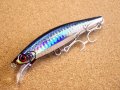 Jackson・Pin tail サワラ Tune 35g/SRI アカハライワシ 