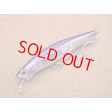Jackson・Pin tail サワラ Tune 42g/SNI 新鮮イワシ 