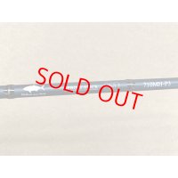 tailwalk・SPRINT STICK SSD 710MH-P3