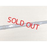 tailwalk・SPRINT STICK SSD 80M