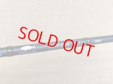 tailwalk・SPRINT STICK SSD 80M