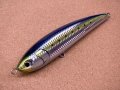 Maria・LEGATO F190/B01H イワシ