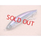 DAIWA・SALTIGA ROUGH RIDE 160F HIRAMASA TUNE/アデルトビウオ