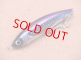 DAIWA・SALTIGA ROUGH RIDE 160F HIRAMASA TUNE/アデルトビウオ