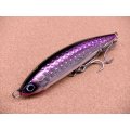 DAIWA・SALTIGA ROUGH RIDE 160F HIRAMASA TUNE/アデル背黒