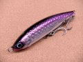 DAIWA・SALTIGA ROUGH RIDE 160F HIRAMASA TUNE/アデル背黒