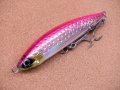 DAIWA・SALTIGA ROUGH RIDE 160F HIRAMASA TUNE/アデルピンク