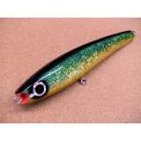 ikプランニング・RORO 200/シイラ