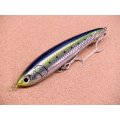 Maria・LEGATO F165/B01H イワシ