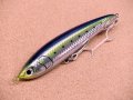 Maria・LEGATO F165/B01H イワシ