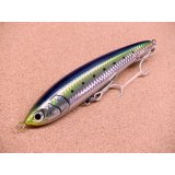 Maria・LEGATO F165/B01H イワシ