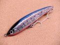 Maria・LEGATO F165/B13H ブルピンイワシ