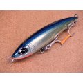 SHIMANO・OCEA DREAM TUNE 160F/004	キョウリンシイラ