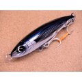 SHIMANO・OCEA DREAM TUNE 160F/002	キョウリントビウオ