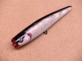 Kikuchi.M craft・Bubble Swimmer 240 日本アワビ　13