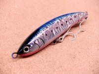 Maria・LEGATO F140/003 ブルピンイワシ
