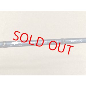 画像: tailwalk・SPRINT STICK SSD 710MH-P3